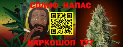 a pvp Камышлов