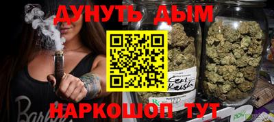 a pvp Камышлов