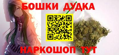a pvp Камышлов