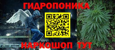 a pvp Камышлов